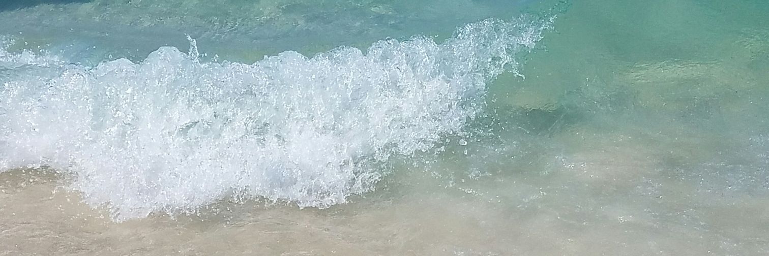 MarciaShort's profile banner image