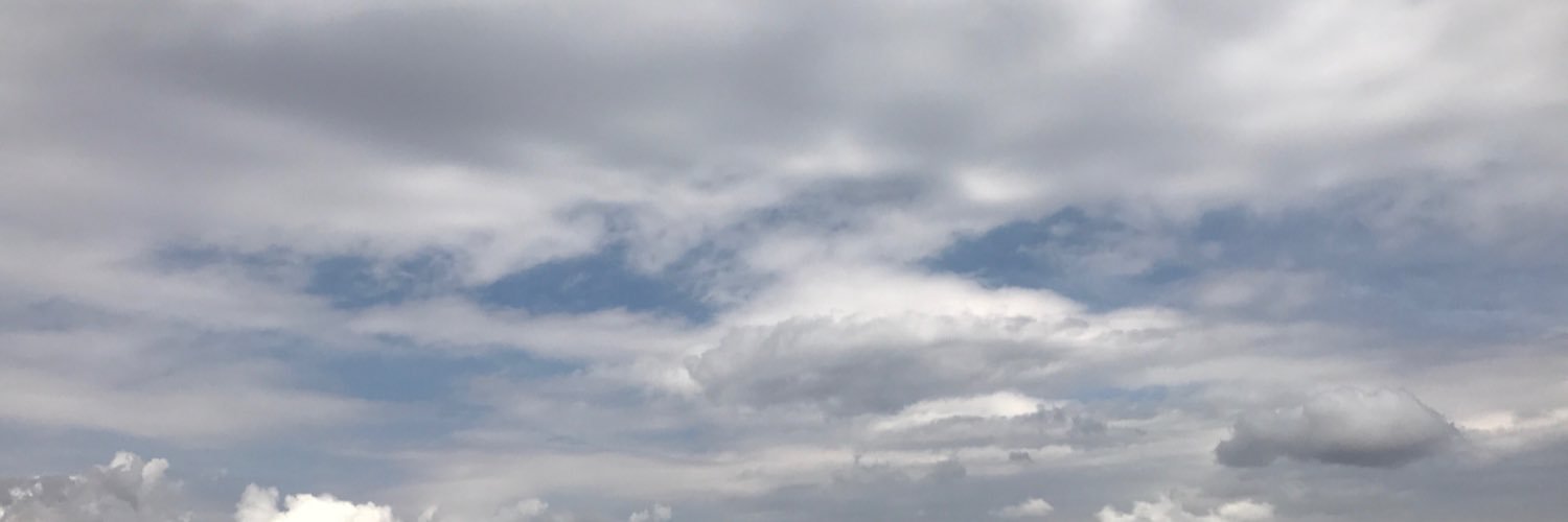 tharrlwin's profile banner image
