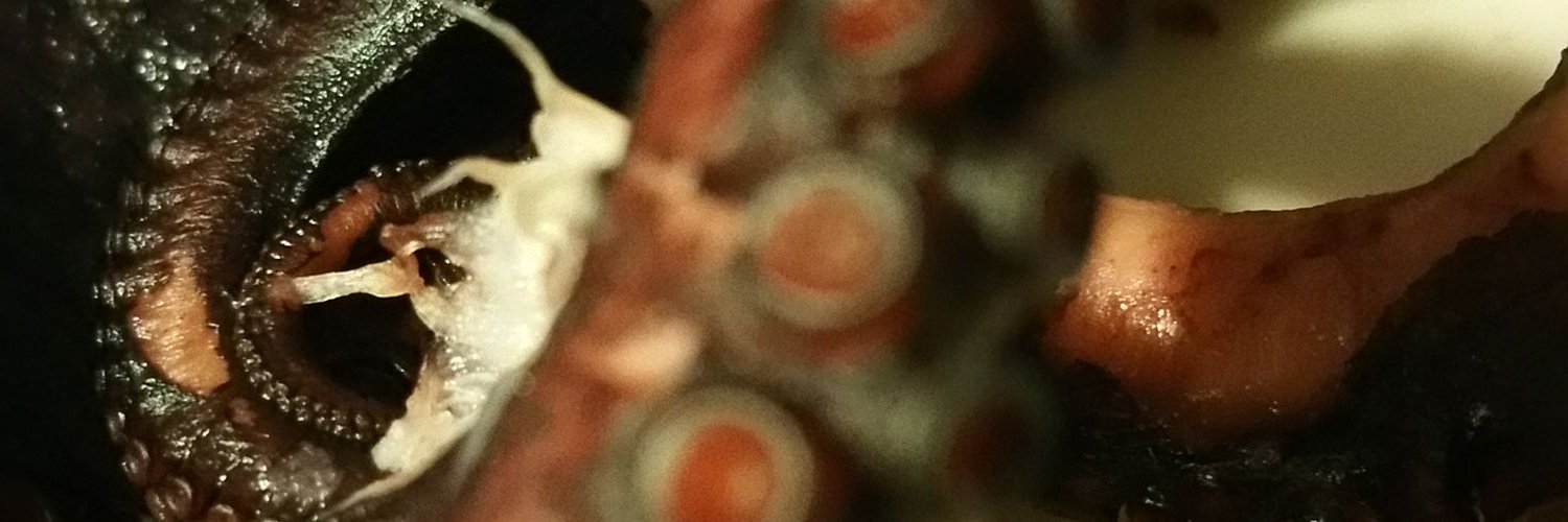 QBRUTE's profile banner image