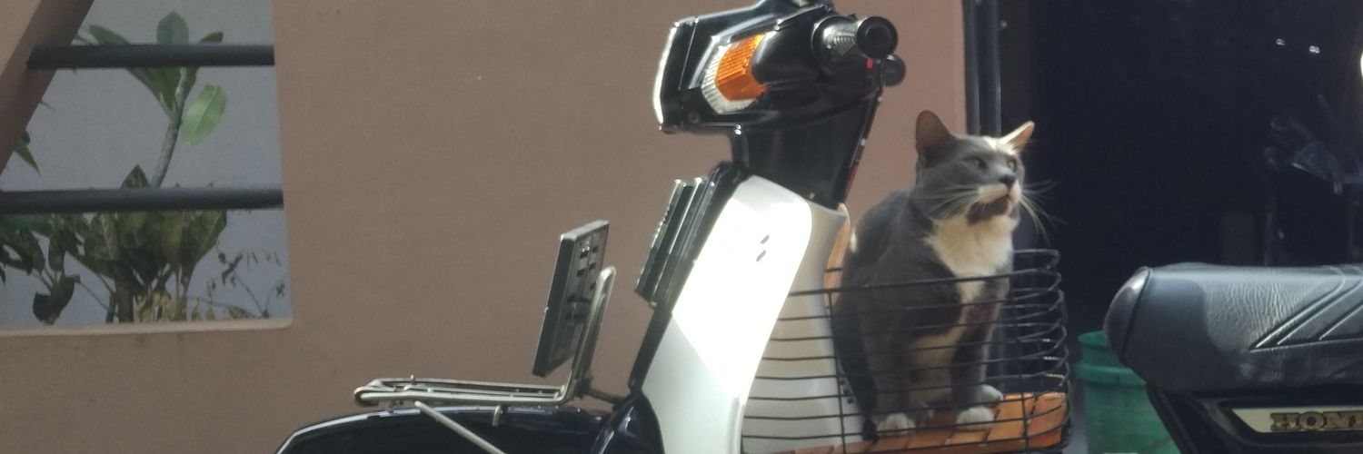 rifkyzaky's profile banner image