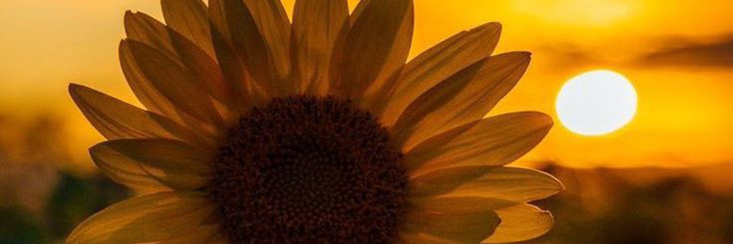 ItzelMatz's profile banner image