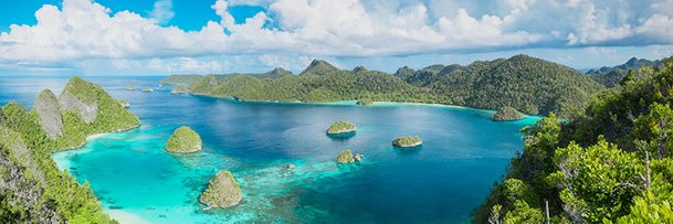 Twitter banner for @Papua