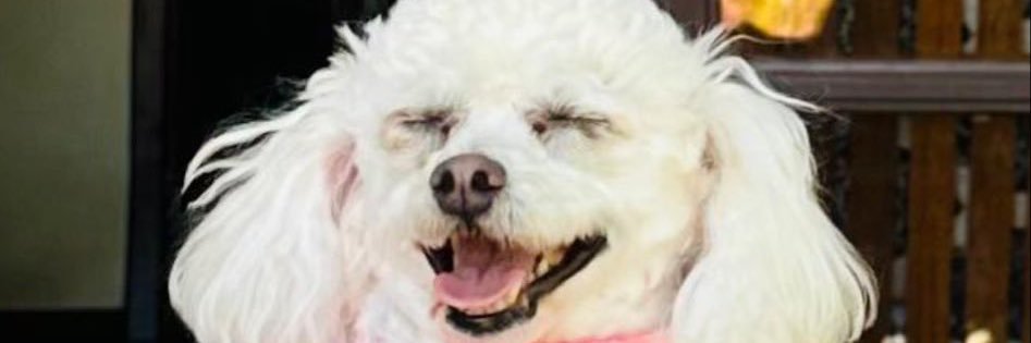 ramoncottaf's profile banner image
