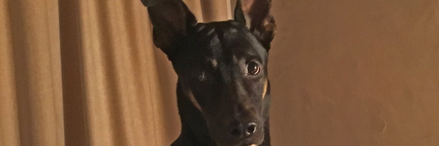 MarcBrocs's profile banner image