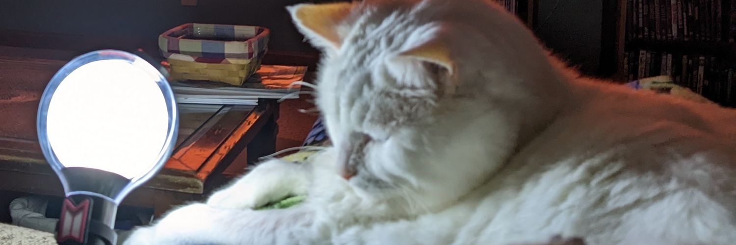 StarlessEyes32's profile banner image