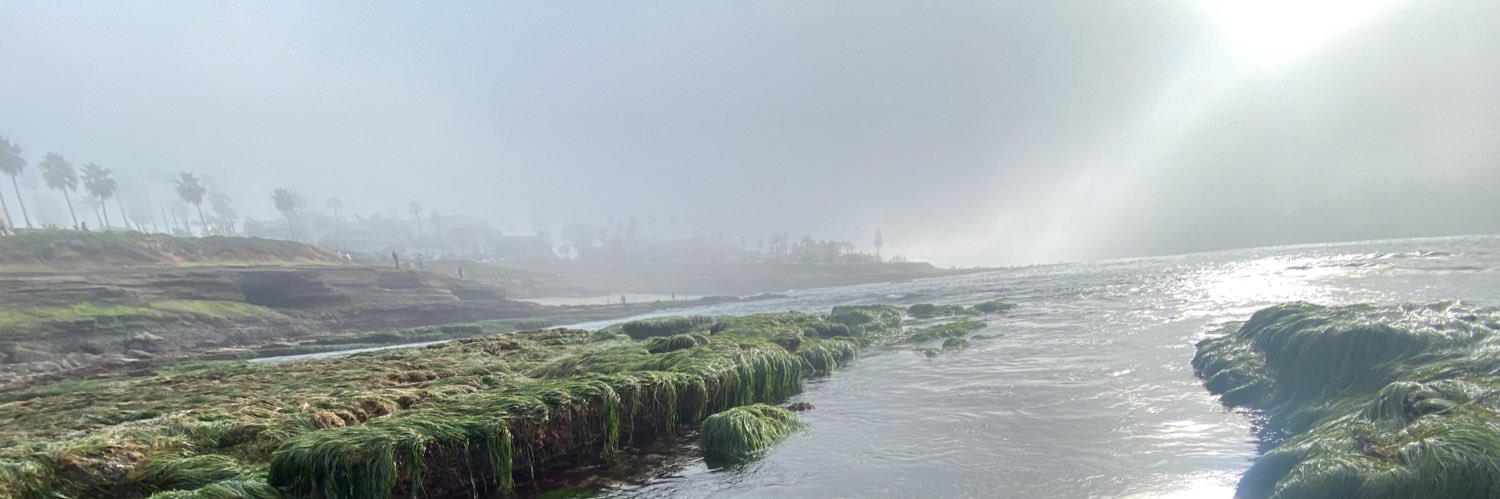 Blue Ecomomy Guy banner