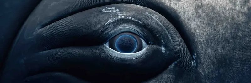 Marée basse Ⓥ 🐝 🥕 😐 banner