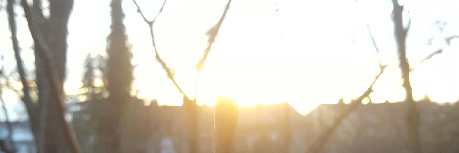 Der Dude⚰️🚬 banner