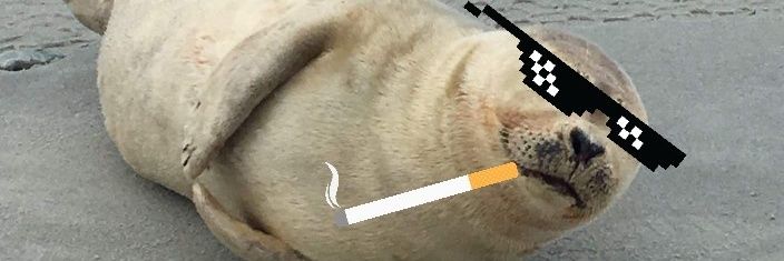 DabrowskiMike's profile banner image