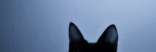 GadgetGame's profile banner image