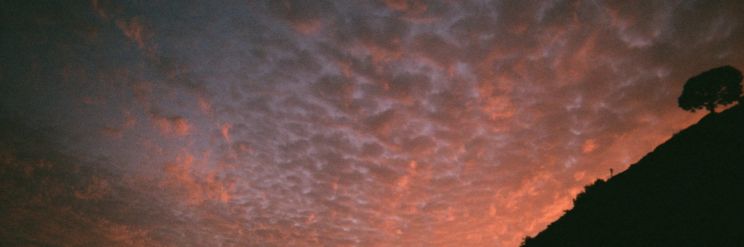 Dylan Robbins banner