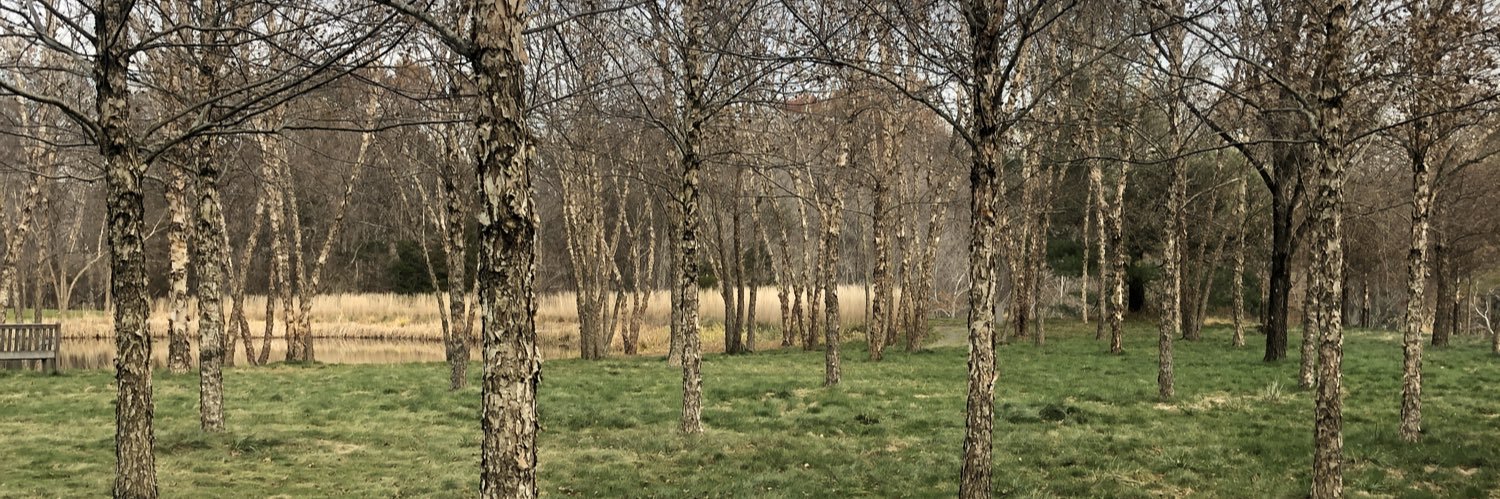 kathryn wortsman banner