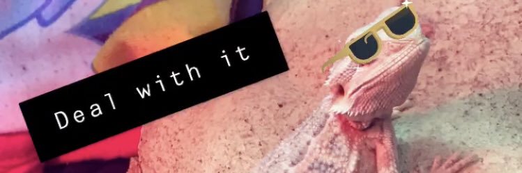 ashhankio's profile banner image