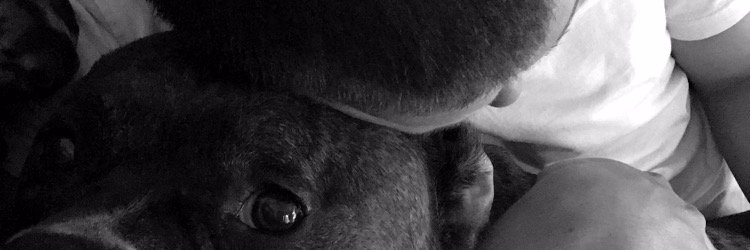 CurlyHeadedQt's profile banner image
