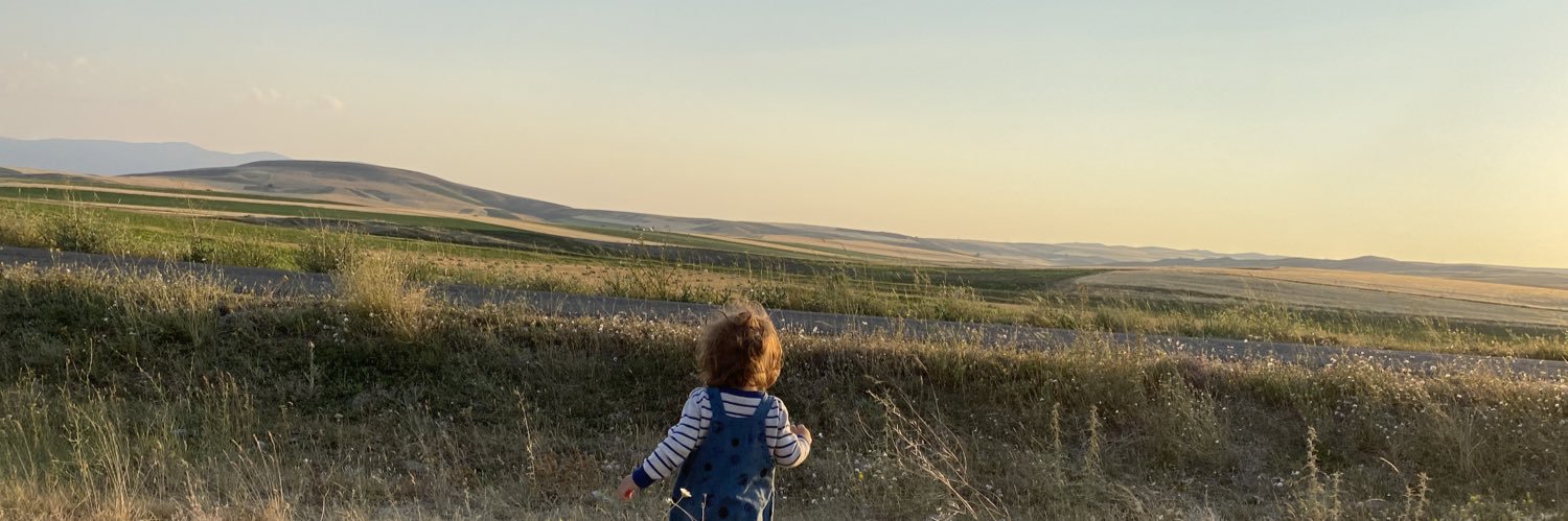 KipSevim's profile banner image