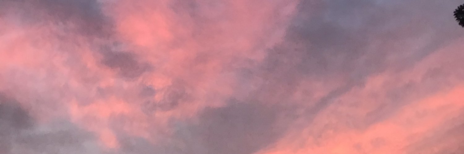 emilybrooks113's profile banner image