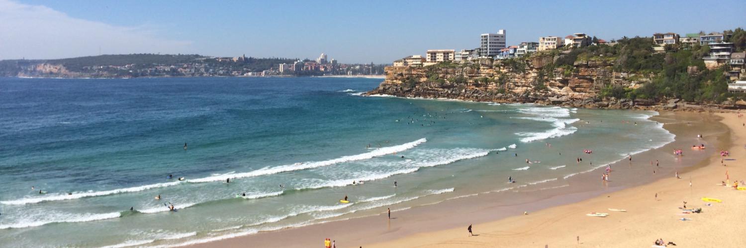 Peter Fellows banner