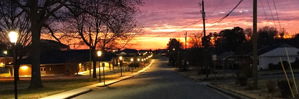 Troy L. Sayles banner