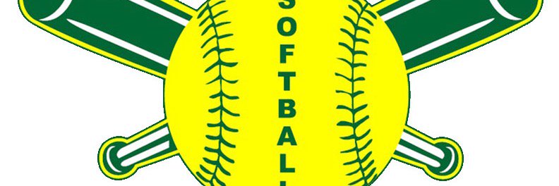 GSFastpitch's profile banner image
