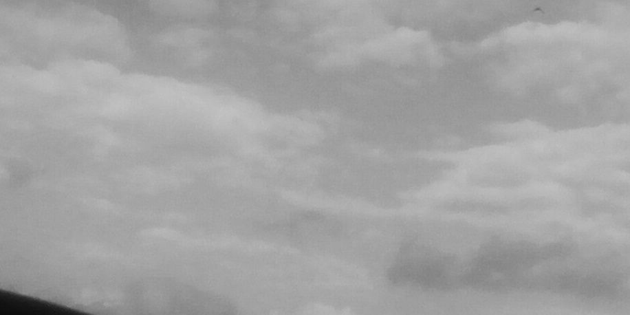 MeMitchieT's profile banner image