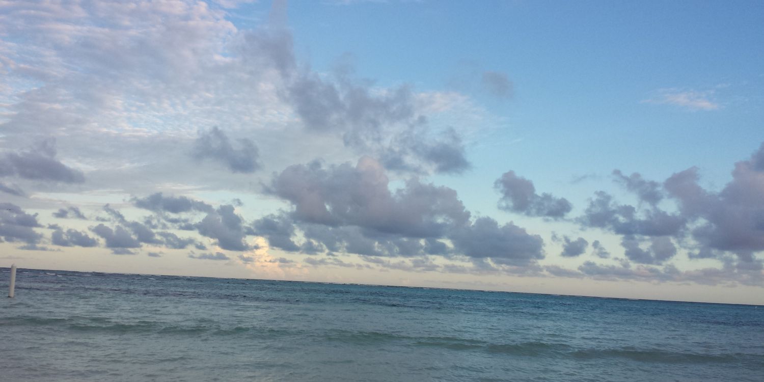 Liss_C's profile banner image