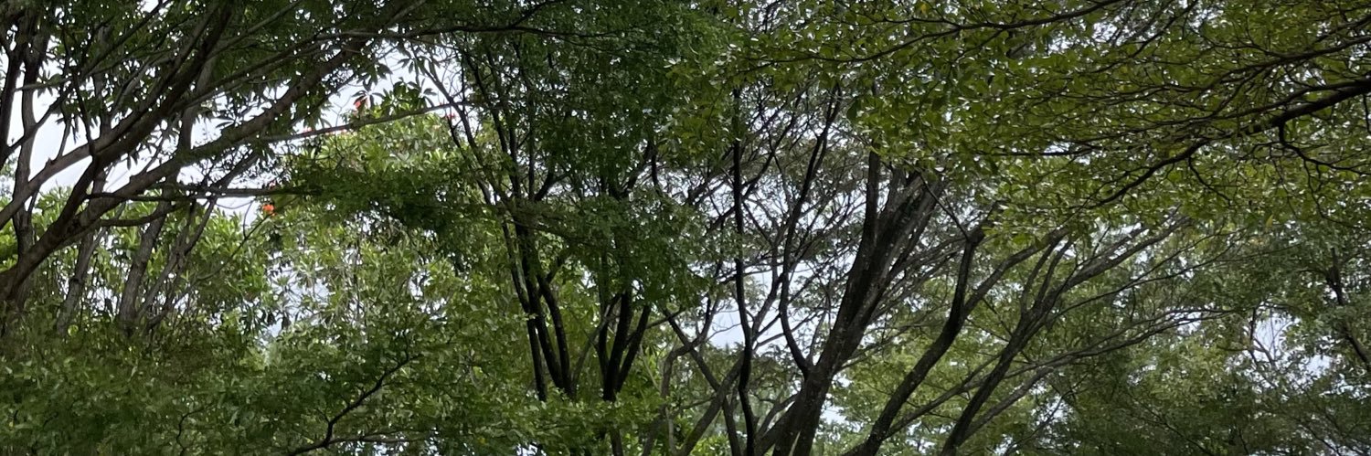 Marwahnur_'s profile banner image