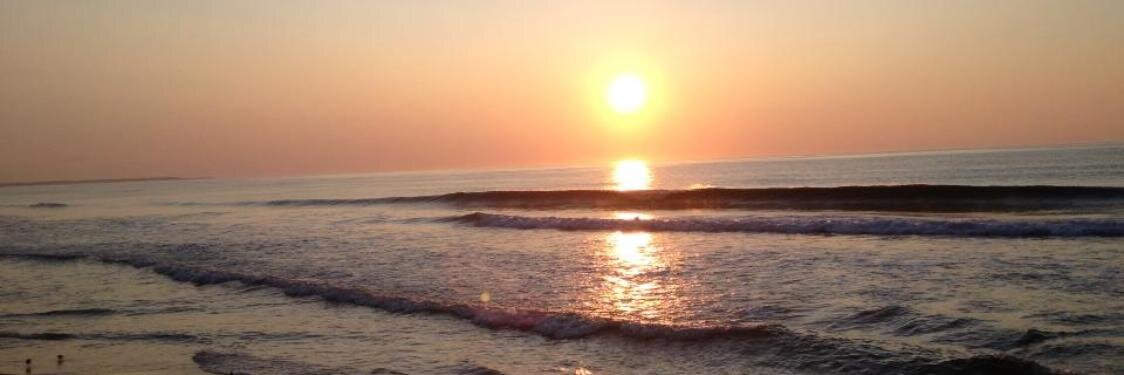 Craig Wilson Гаага 🇺🇸 banner