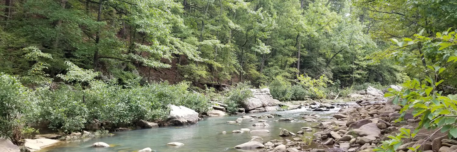 MissyMissG's profile banner image