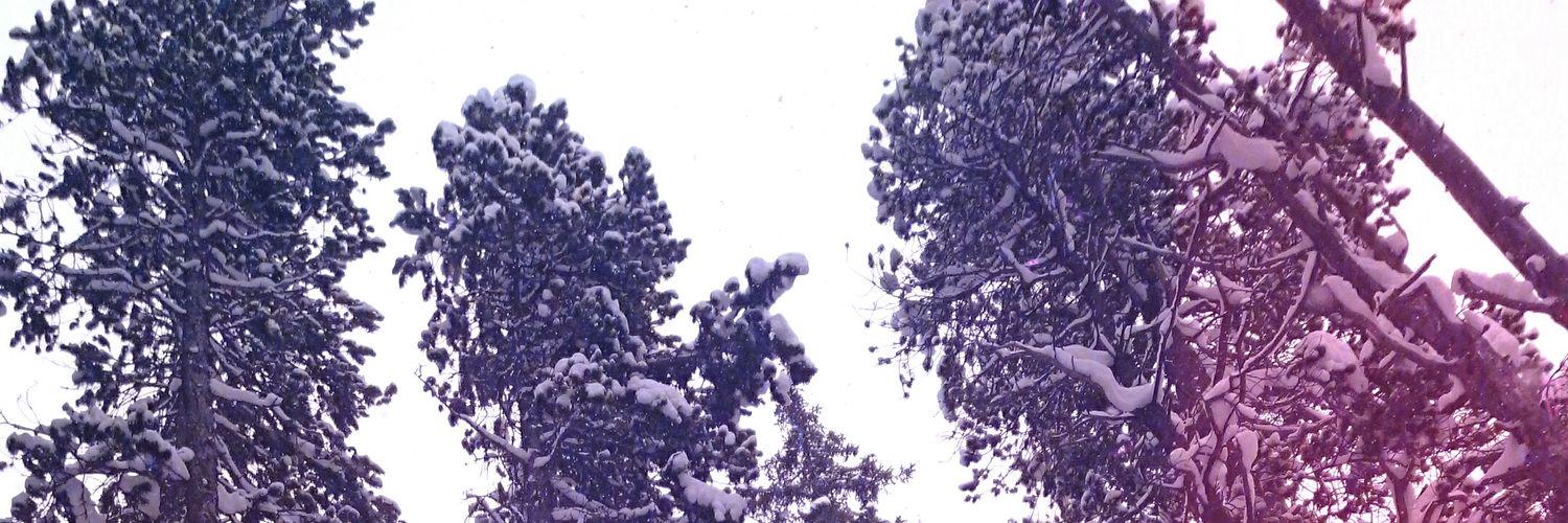 artshred's profile banner image
