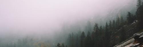 rtfavfemale's profile banner image