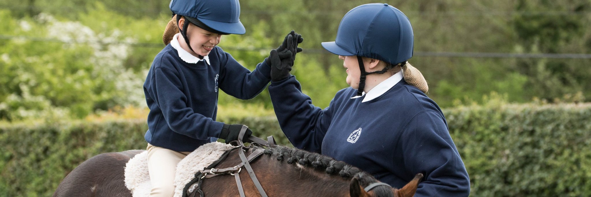 Clwyd Special Riding Centre banner