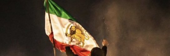 Lion’n Sun banner
