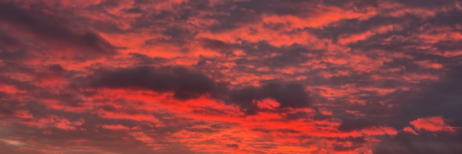 LoSimonsen's profile banner image