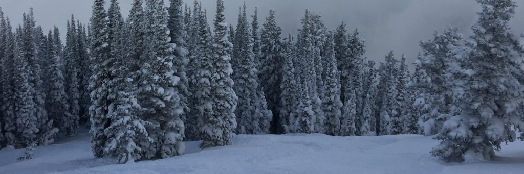 Carter_Watts15's profile banner image