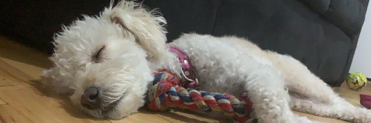 locaepoco's profile banner image
