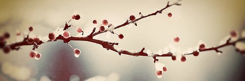abeer951's profile banner image