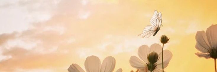 fozgef's profile banner image