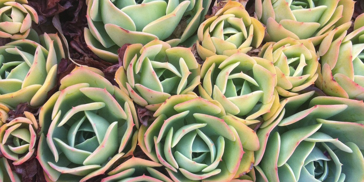 MollySunshine_'s profile banner image