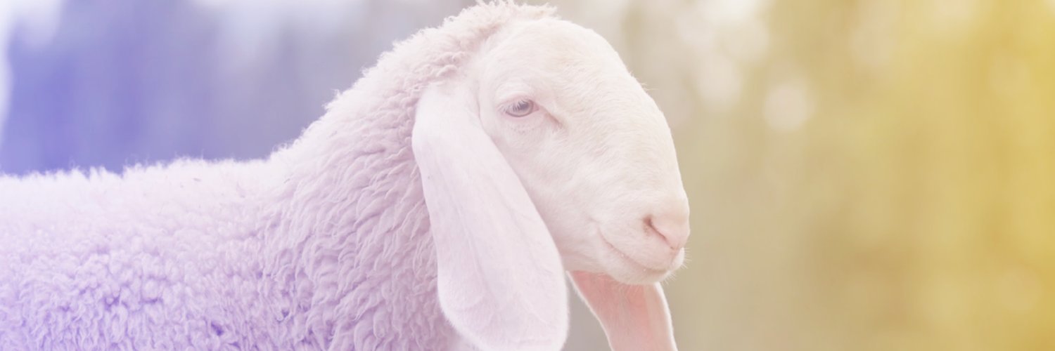 AsuarBs's profile banner image