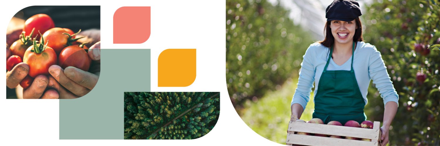 Department of Agriculture, Fisheries and Forestry banner