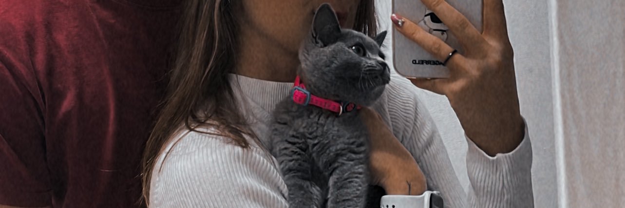 WhyNotLia's profile banner image