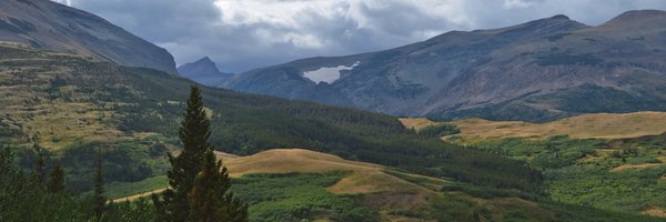 Magdalena Fitzsimmons Profile Banner