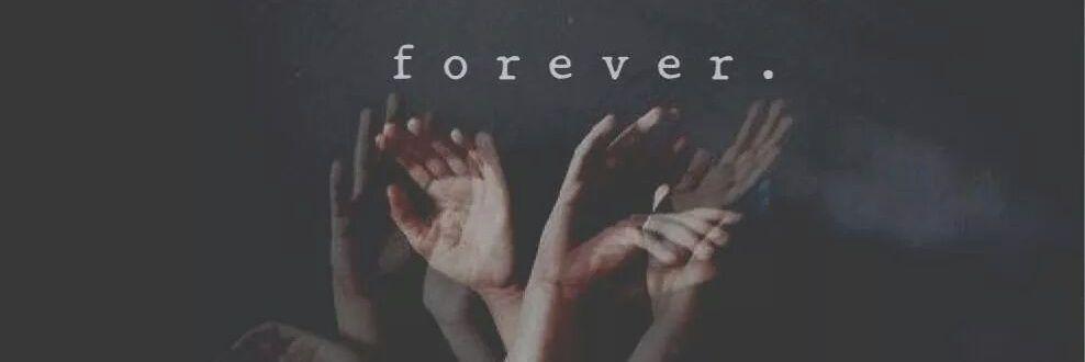 my_dearr's profile banner image
