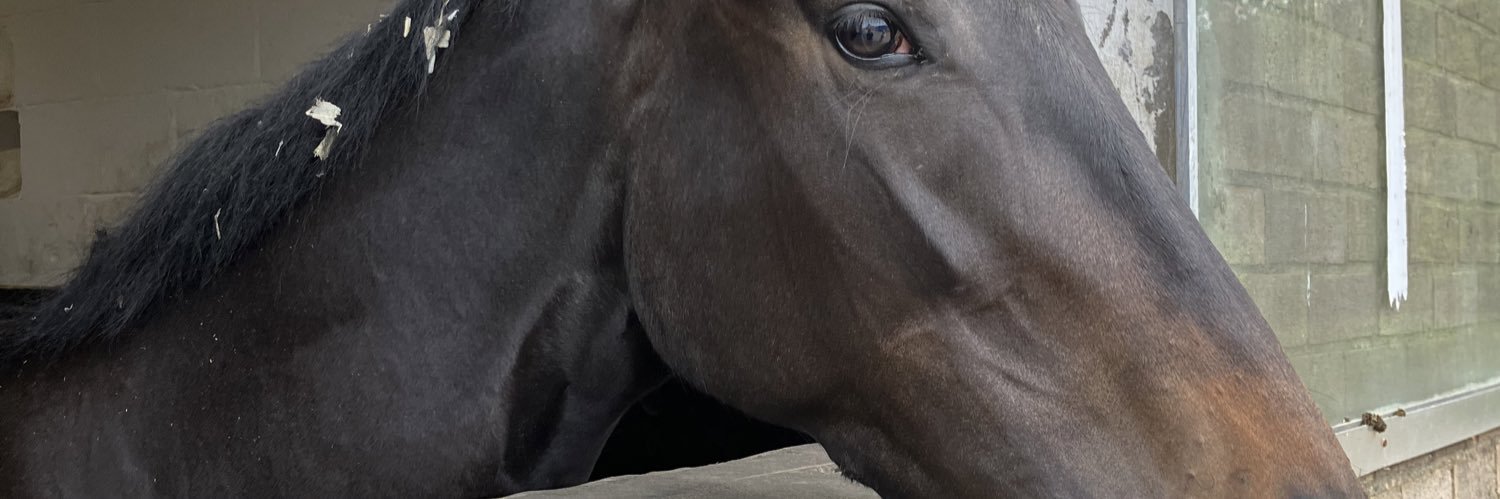 mickkendrick's profile banner image