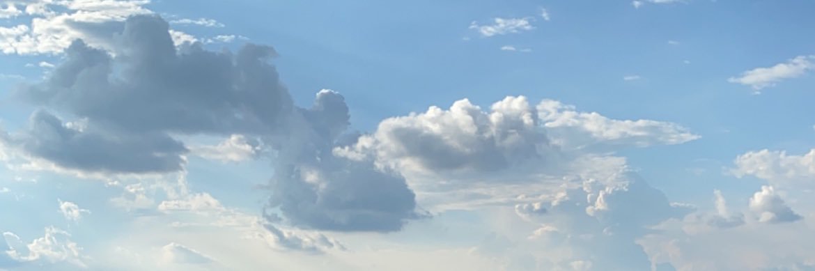 allison banner