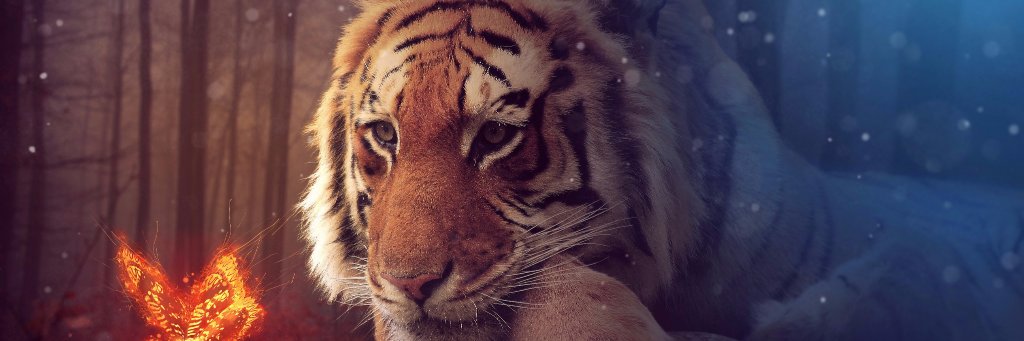GamesAndPlay's profile banner image