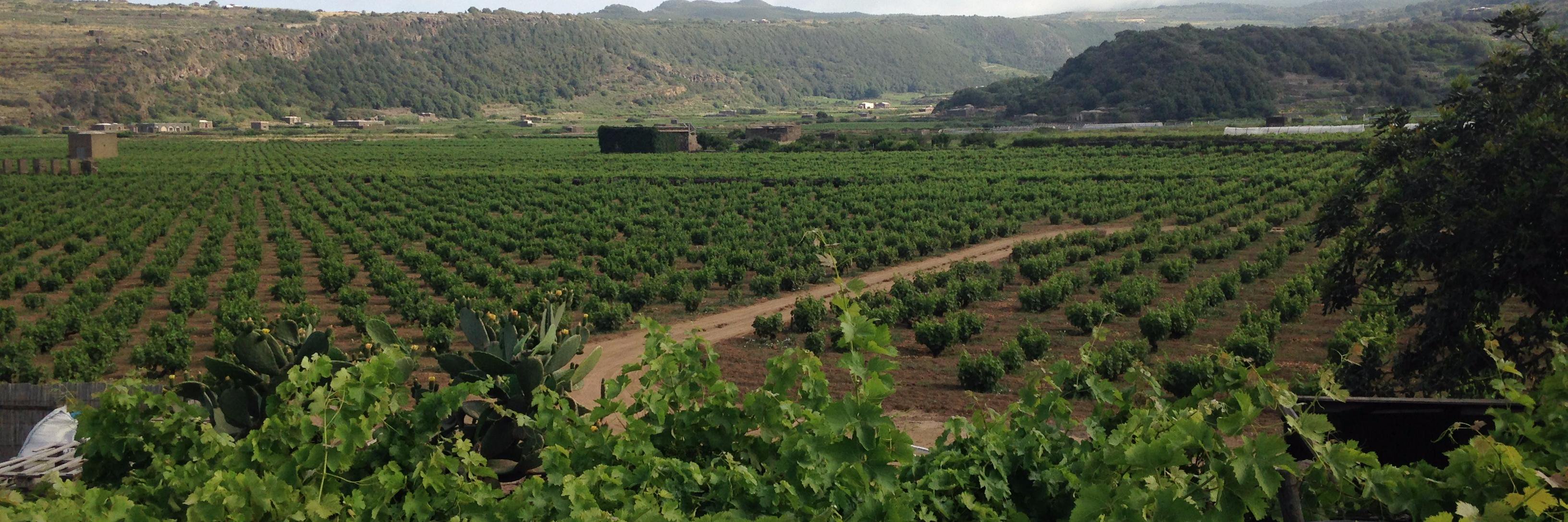 ValeValenza's profile banner image