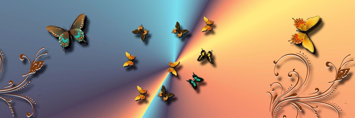 LMformula's profile banner image