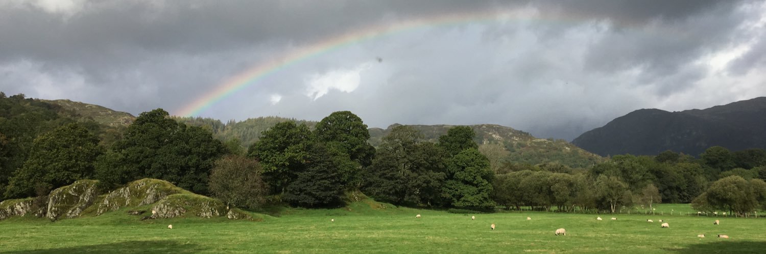 tebowen's profile banner image