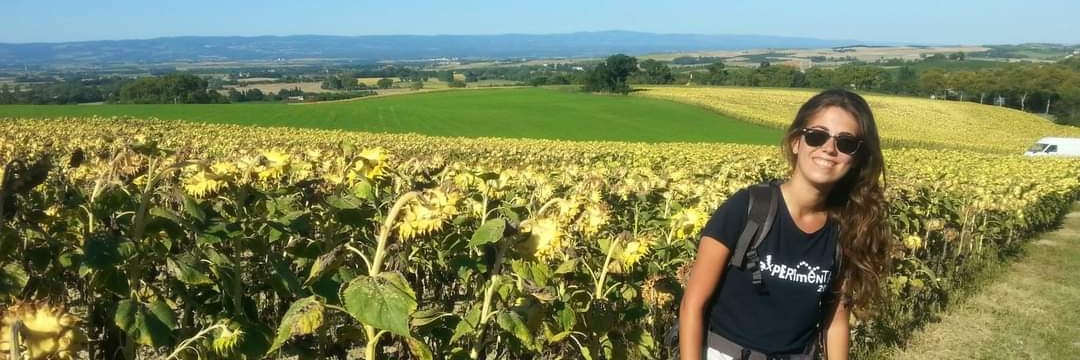 María Lairón Peris banner